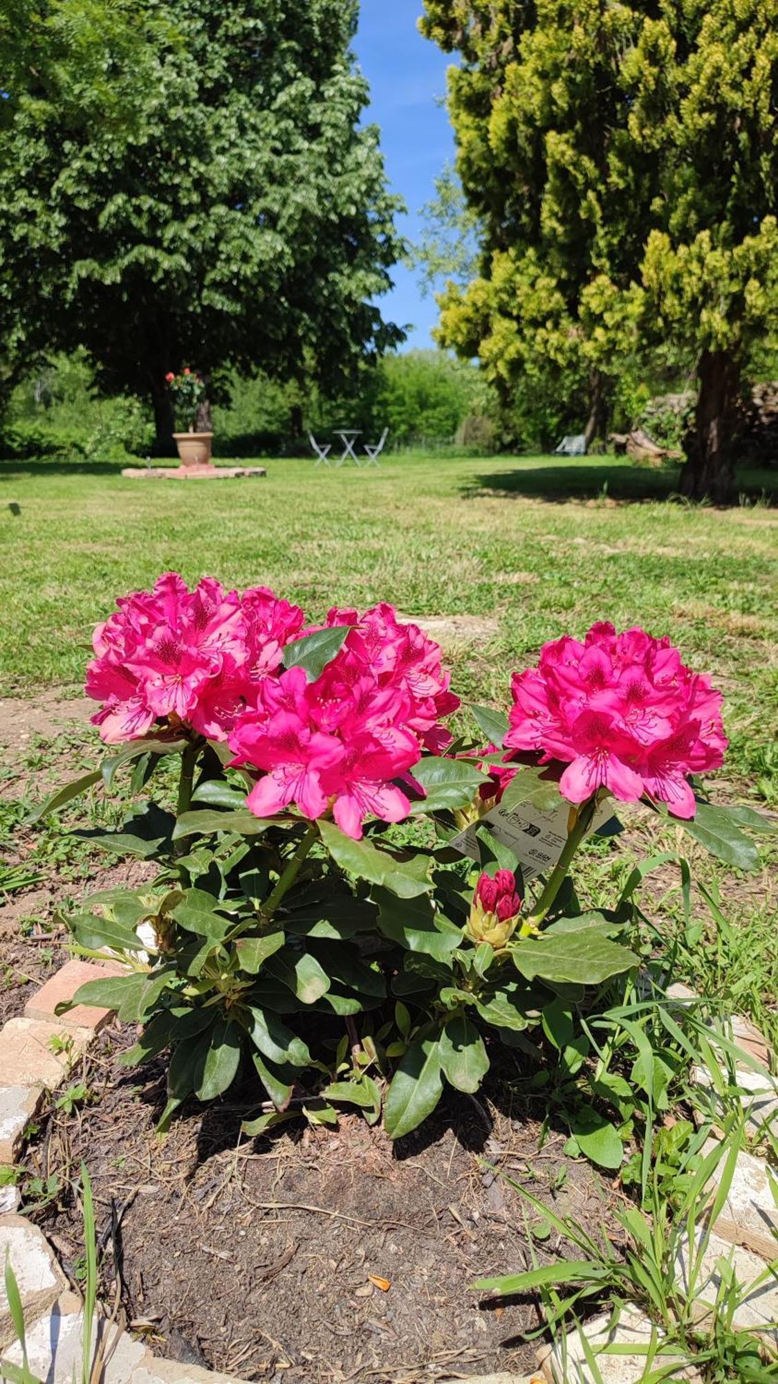ホテル La Rose Paisible Brusson エクステリア 写真
